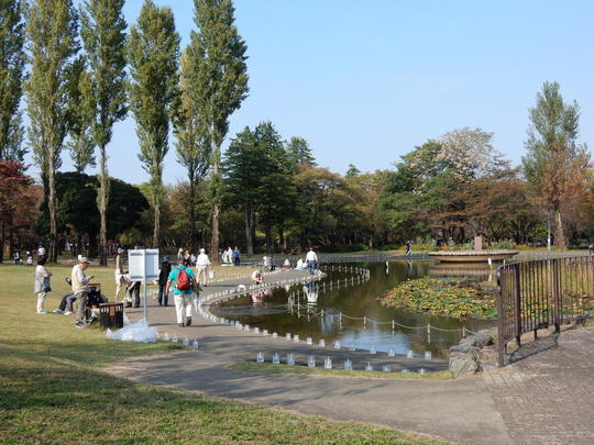 DSCN7231.JPG