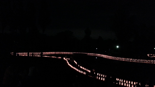 20141025_180545.jpg