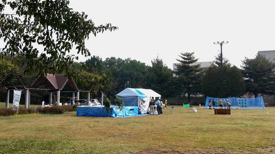 20141026_092813.jpg