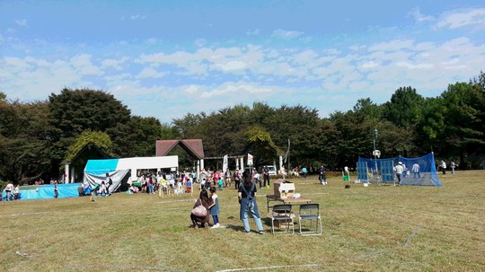 20141026_114952.jpg