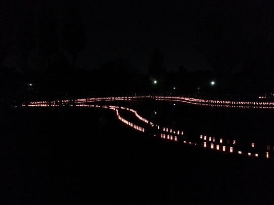 20151024_180834.jpg