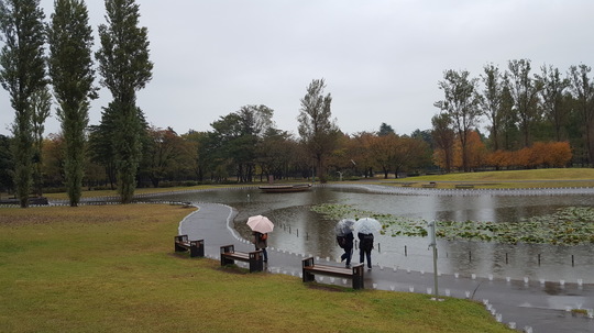 20171028_144453.jpg