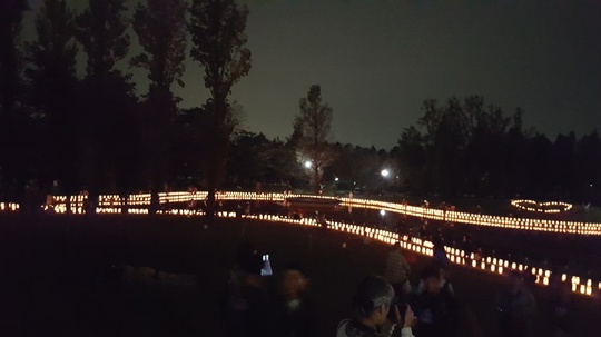 20181027_173503.jpg